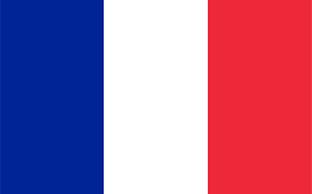 france flag 8x5